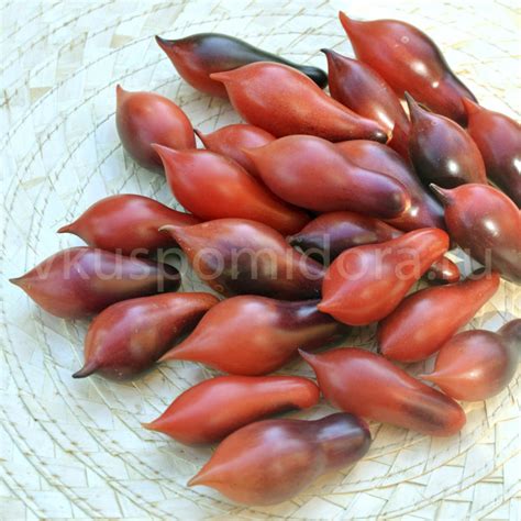 Купить семена томата сорт Кумкват Розовый опал (Kumquat Pink Opal)