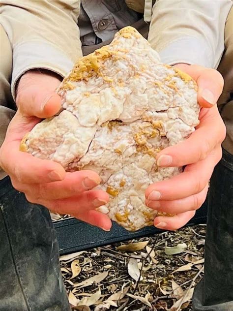 Largest Gold Nugget Found In Australia