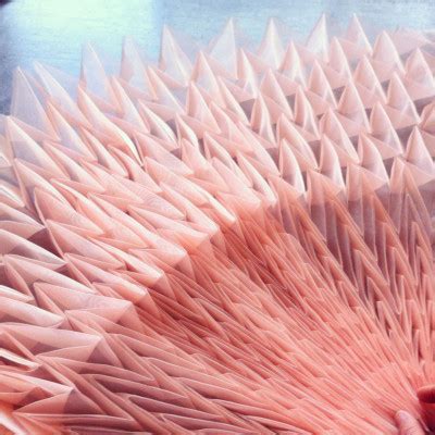 collapsible design materialdistrict