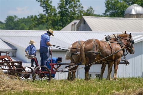 Amish put faith in God's will and herd immunity over vaccine | AP News