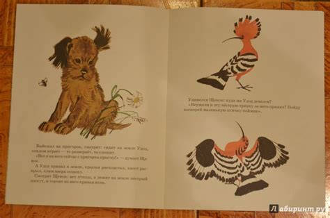 Книга: Первая охота - Виталий Бианки. Купить книгу, читать рецензии ...