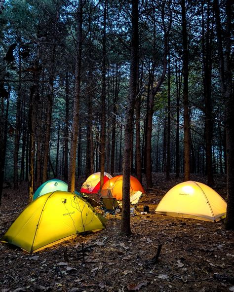 진 | 잣나무숲 백패킹🪵 ⠀ 윗지방에 호잣캠이랑 팔현캠프가 있다면 아랫지방엔 청도 잣나무 숲이 있습니다👀 ⠀ 비바람 부는 날