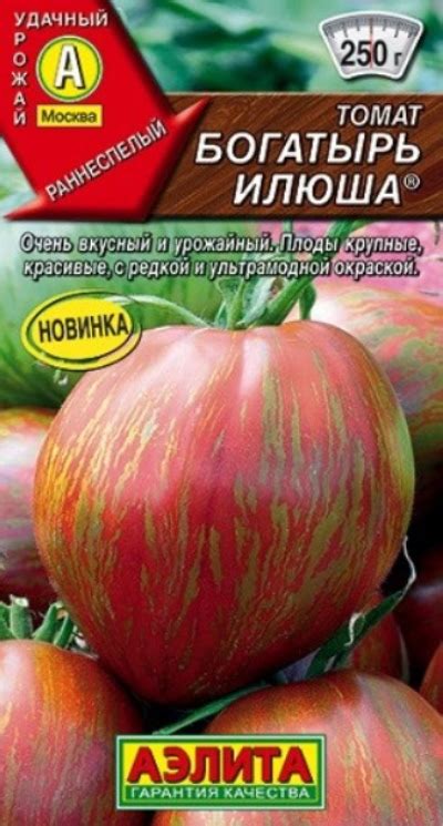Tomato Bogatyr Ilyusha: description and characteristics, features of ...