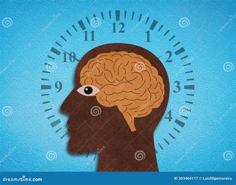 Biological Clock Health And Medical Infographic Infocharts Vector ...