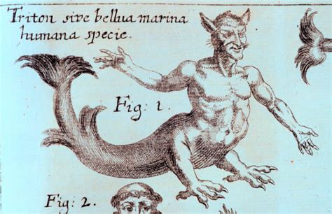 Libr0080 - Triton (mythologie) - Wikipedia | Griekse mythologie ...