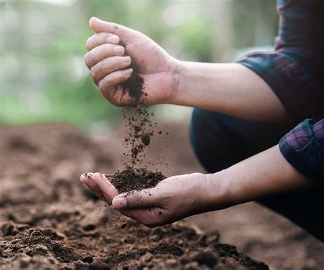 How to boost soil nutrients: 8 expert ways to do it | Homes and Gardens