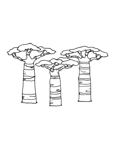 Baobab coloring pages