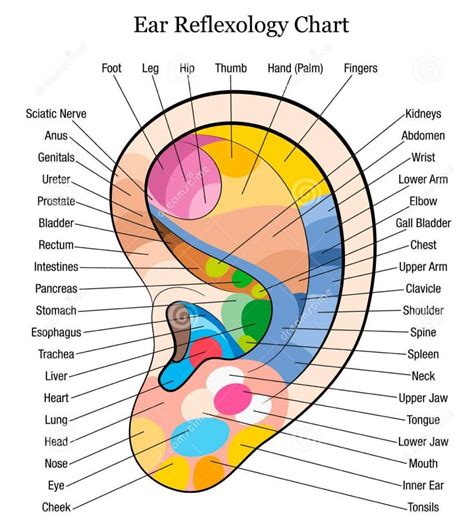 Reflexology - Holistic Massage Therapist in Pontefract