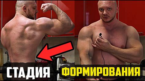 МАССОНАБОР - ПИТАНИЕ Часть 4 из 8 - ФОРМИРУЮЩАЯ ФАЗА МАССОНАБОРА ...