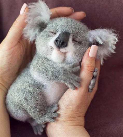 Những hình ảnh 100 cute animals đáng yêu nhất trên thế giới