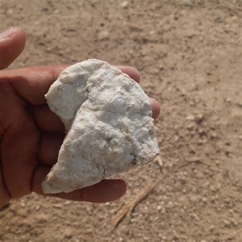 Architects Visit The Gypsum Factory To Source High-grade Building Materials