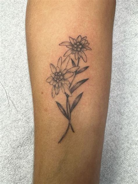 Edelweiss Flower Tattoo in 2024 | Small forearm tattoos, Edelweiss ...