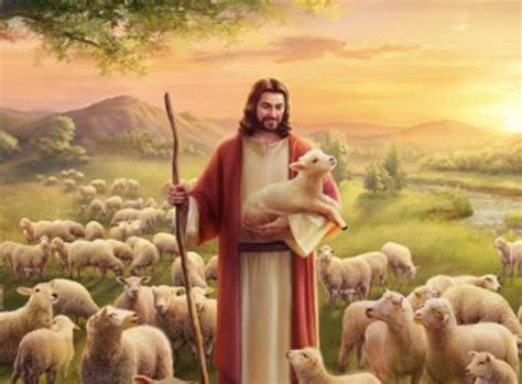 Jesus Shepherd 3 | Here's the Joy