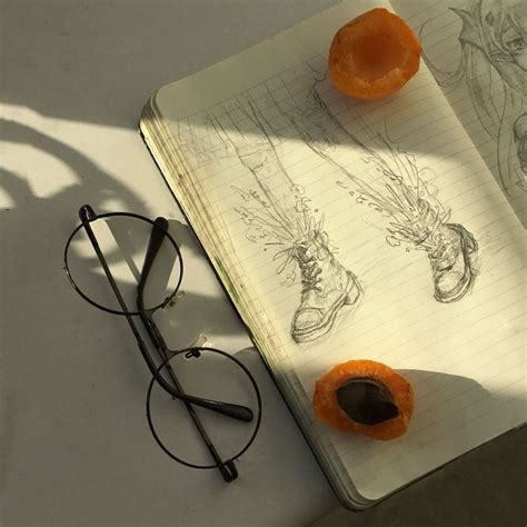 an open notebook with two oranges and glasses on it