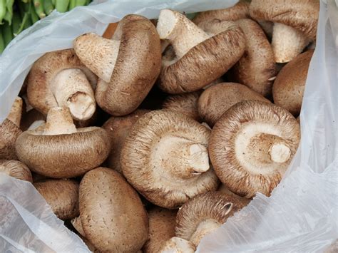 Dermatitis Por Shiitake at Richard Prudhomme blog