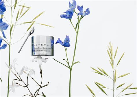 CHANTECAILLE BEAUTÉ – Chantecaille
