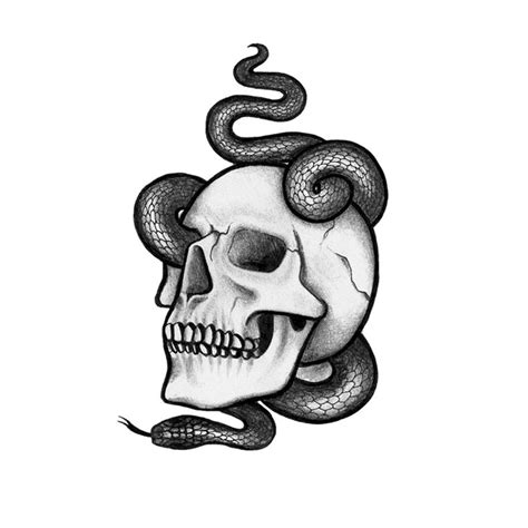 Snake Skull Drawing at PaintingValley.com | Explore collection of Snake ...