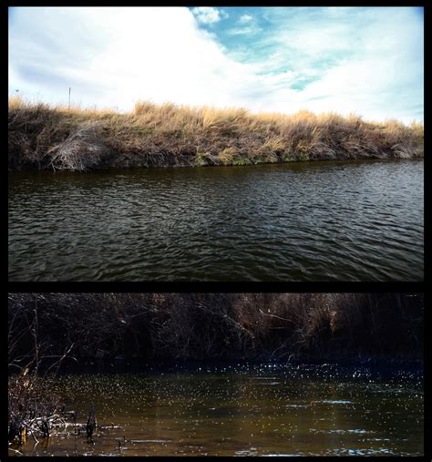 MT Archives - Montana Wild