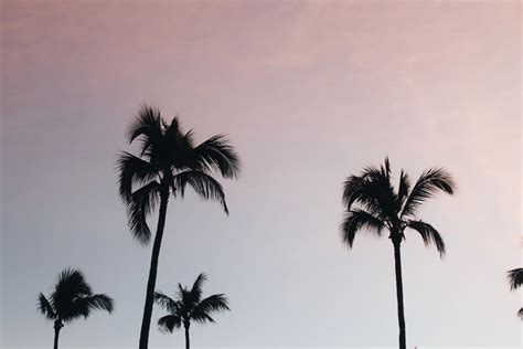 Chloe Jade Photo & Print