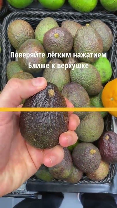 Как определить хороший авокадо #авокадо #рецепты #avocado #avocadovibes ...