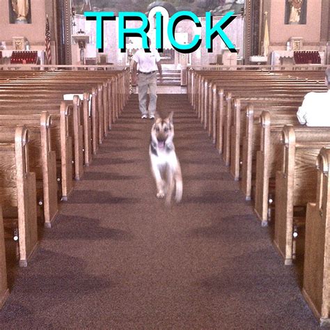 The Forum Candid Io Secret: This One Trick Changed Everything! Image 2