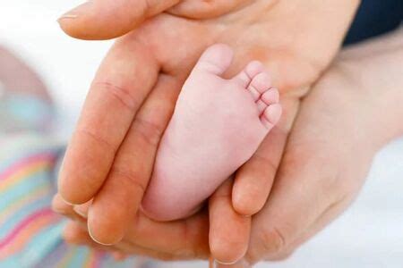 congenital vertical talus physiopedia