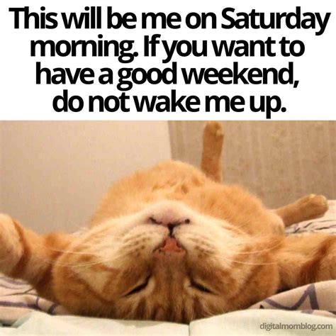 50 Awesome Saturday Memes to Supercharge Your Weekend Vibes