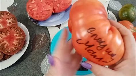 🍅Гордость Пирса -гном.Сахарный гигант,Спецназ малиновый-томаты ...