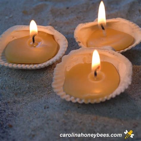 Beeswax Candle Molds: Choose the Best- Carolina Honeybees