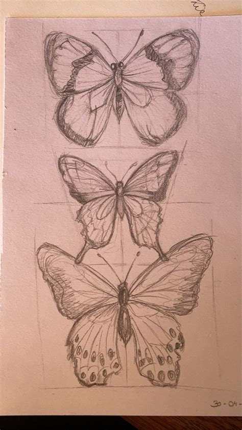 butterflies butterfly art drawing butterfly sketch book art drawings