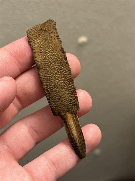 Bone found along river, fishy?? : r/whatisthisbone