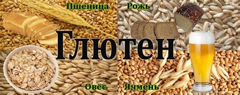 Что такое глютен и чем он вреден? Вся правда про опасность глютена и ...