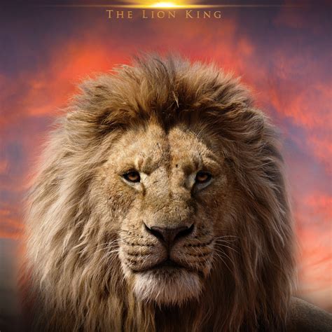 animal in the lion king movie 11