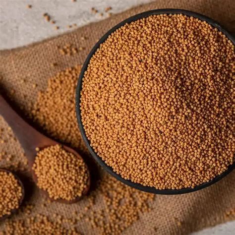 Is Mustard Good For You? Discover 26 Amazing Health Benefits of Mustard ...