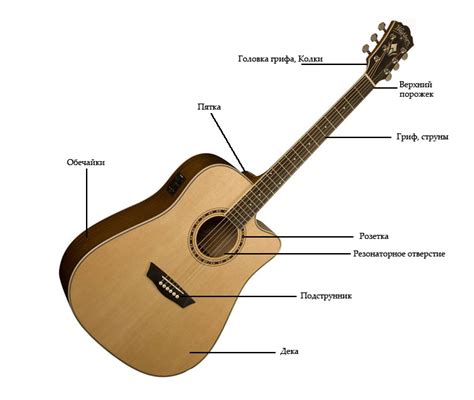 Устройство акустической гитары