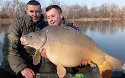 Jezero Laminci - Ulovljen ŠARAN KAPITALAC - Faktor magazin
