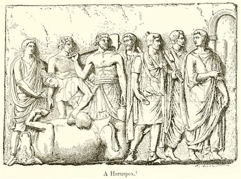 haruspex stock image   learn