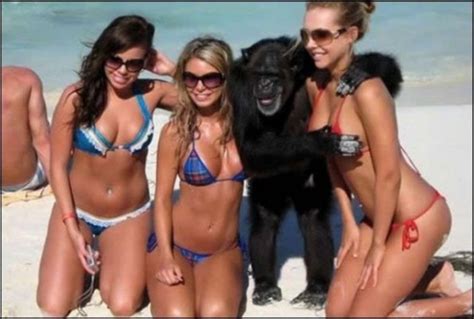 Embarrassing Beach Photos | Funnilogy