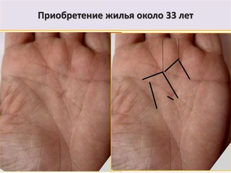 Хиромантия. Датировка по фалангам - презентация онлайн