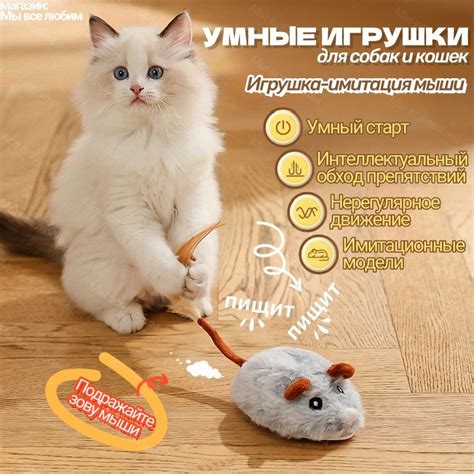 Игрушка для кошек интерактивная умная мышь - купить с доставкой по ...
