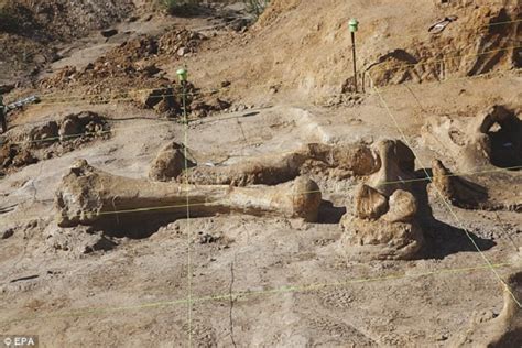 В Техасе обнаружили останки доисторического мамонта