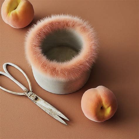 Peach Fuzz | Peach fuzz, Color stories, Peach