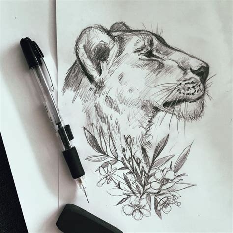 Female Lion Sketch at PaintingValley.com | Explore collection of Female ...