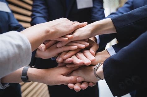 How Designing Alliances Will Cultivate Cohesive Teams - Emily Rogers ...