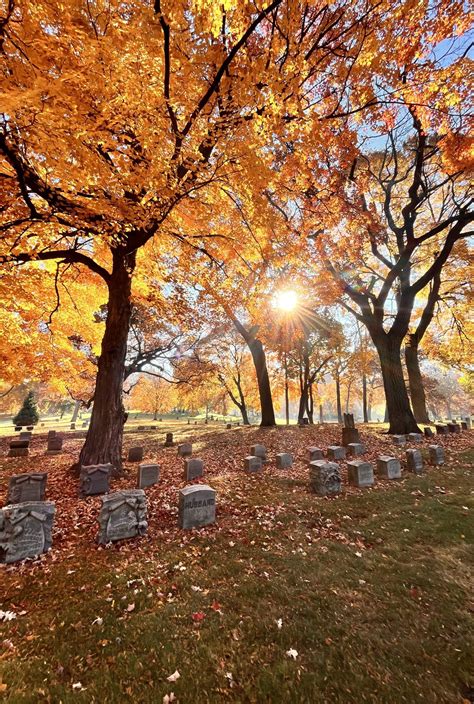 Support | Forest Home Cemetery & Arboretum