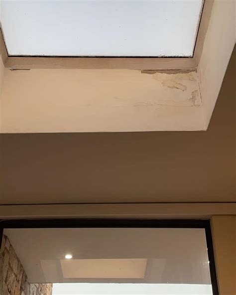 I need of roof or skylight repairs? We... - InStyle Solutions