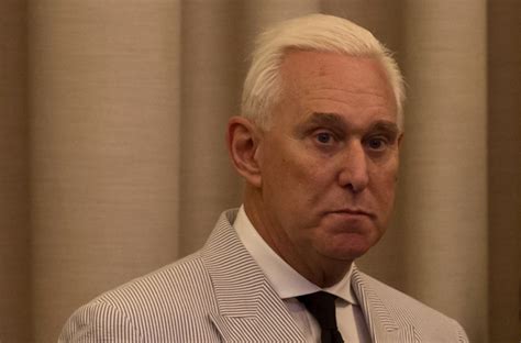 devastating  roger stone palmer report