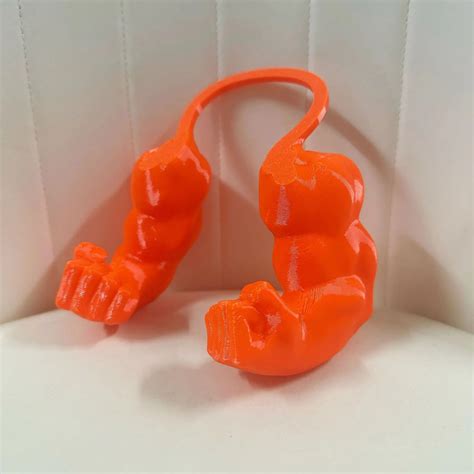cat arm function 5