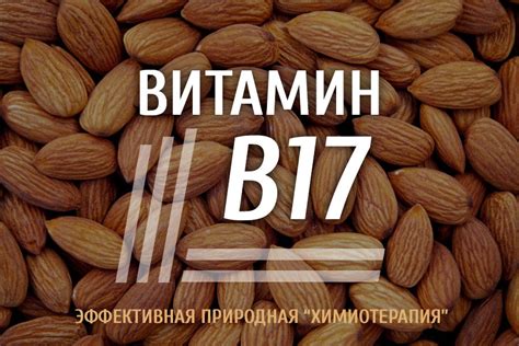 Витамин B17 (амигдалин) – эффективная природная «химиотерапия»