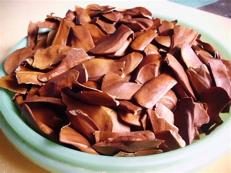 Sky Fruit Benefits 7